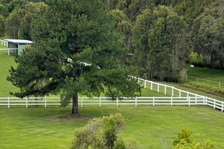 Bright and Airy Studio at Cabarita Beach Farm