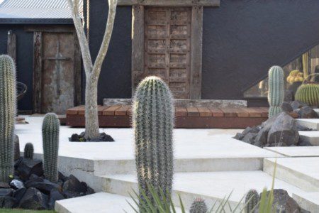 Rough Luxe Design house and Cactus Garden