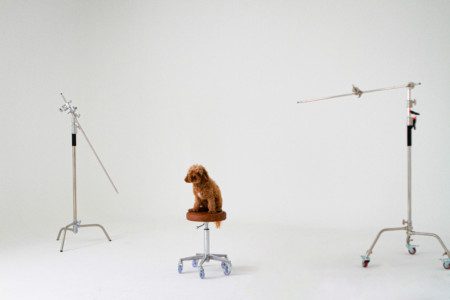 Purpose built sound treated photography/videography studio in Stanmore