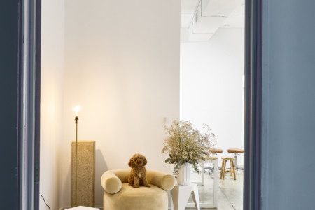 Purpose built sound treated photography/videography studio in Stanmore