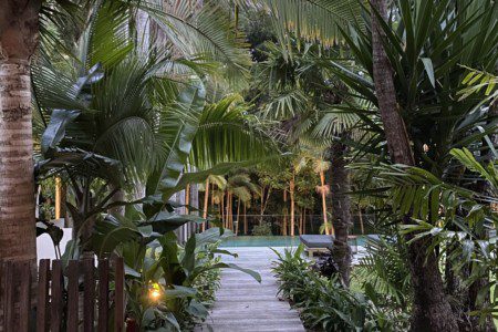 Two Acres Home - Tropical Sanctuary