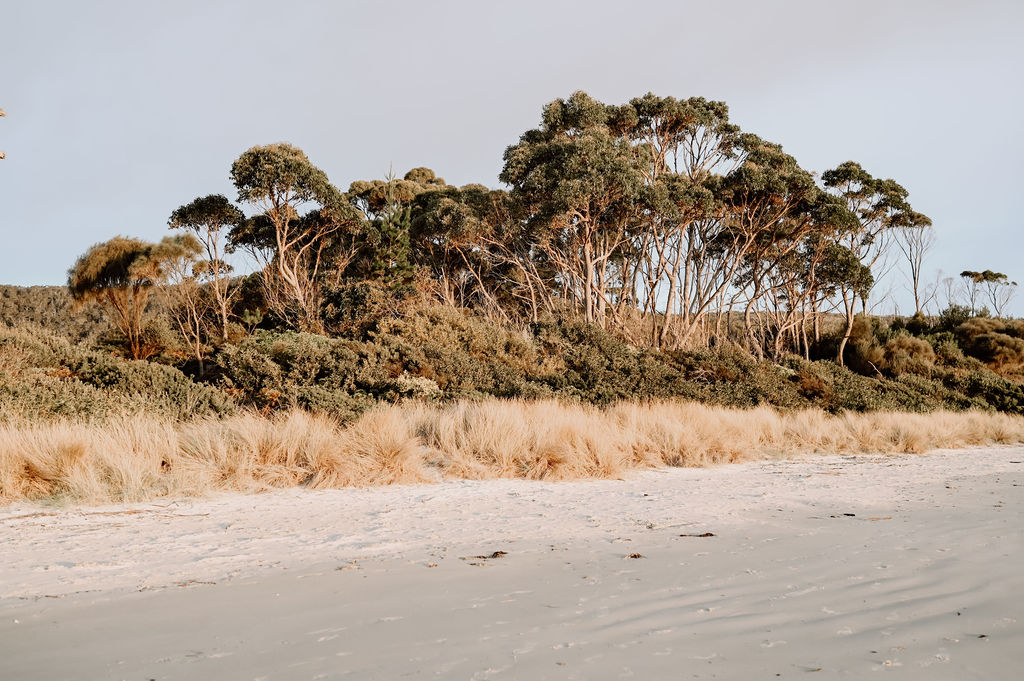 Beach Front Beauty – The Pearl Tasmania