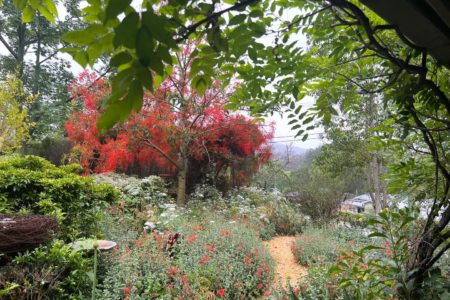 The Rustic Nest Yarramalong