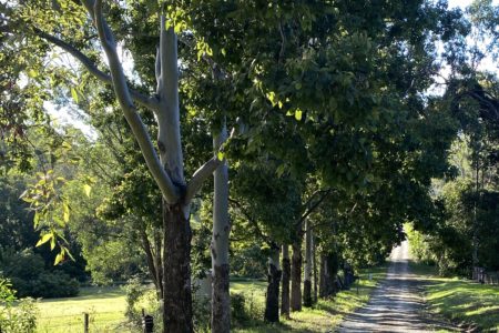 Benwerrin Brisbane - 2 Houses on 10 acres, including a Barn, Creek and Pool