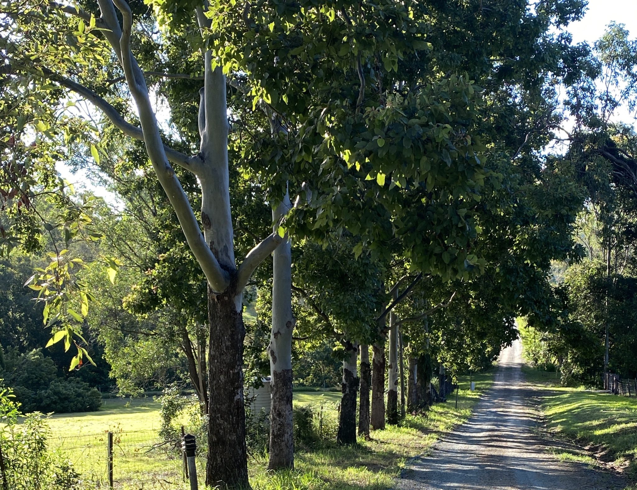 Benwerrin Brisbane – 2 Houses on 10 acres, including a Barn, Creek and Pool