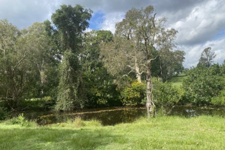 Benwerrin Brisbane - 2 Houses on 10 acres, including a Barn, Creek and Pool