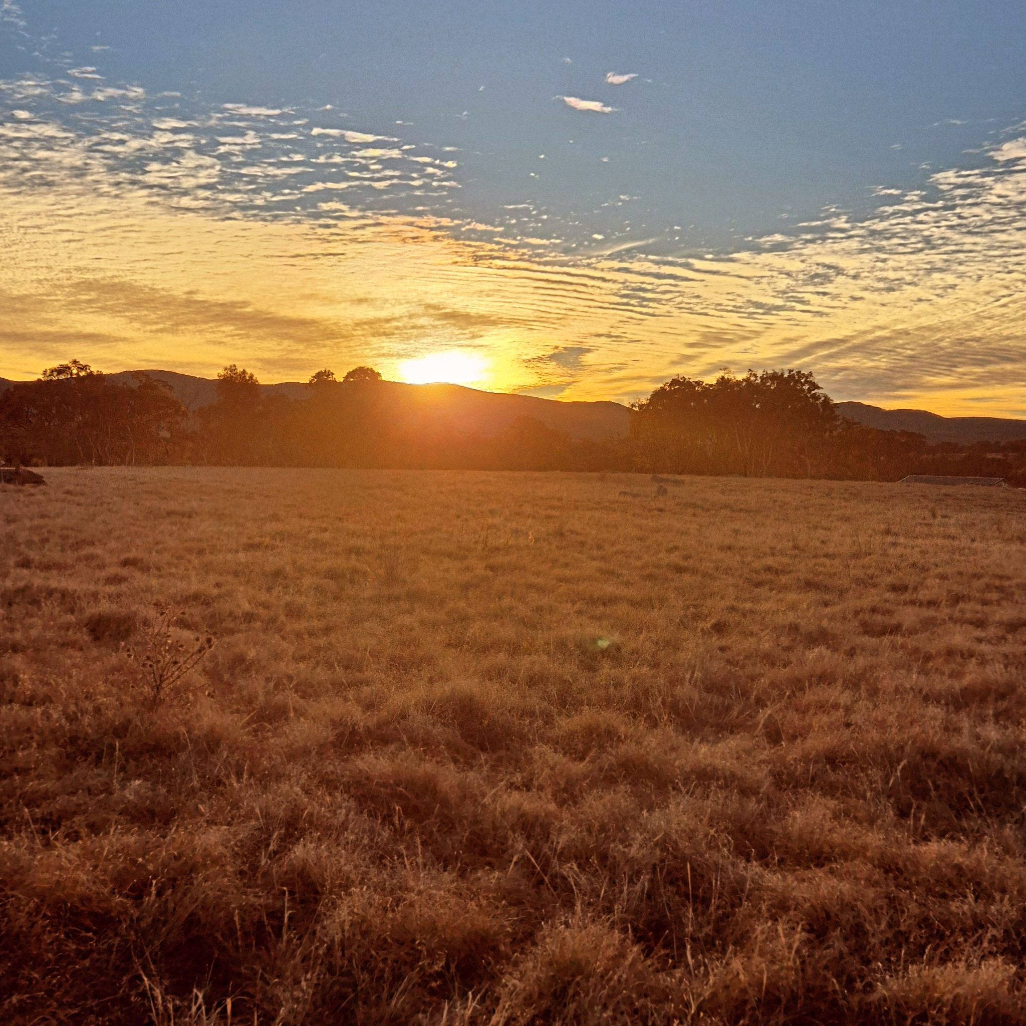 Country Style – Amazing View – Large property