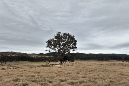 Country Style - Amazing View - Large property