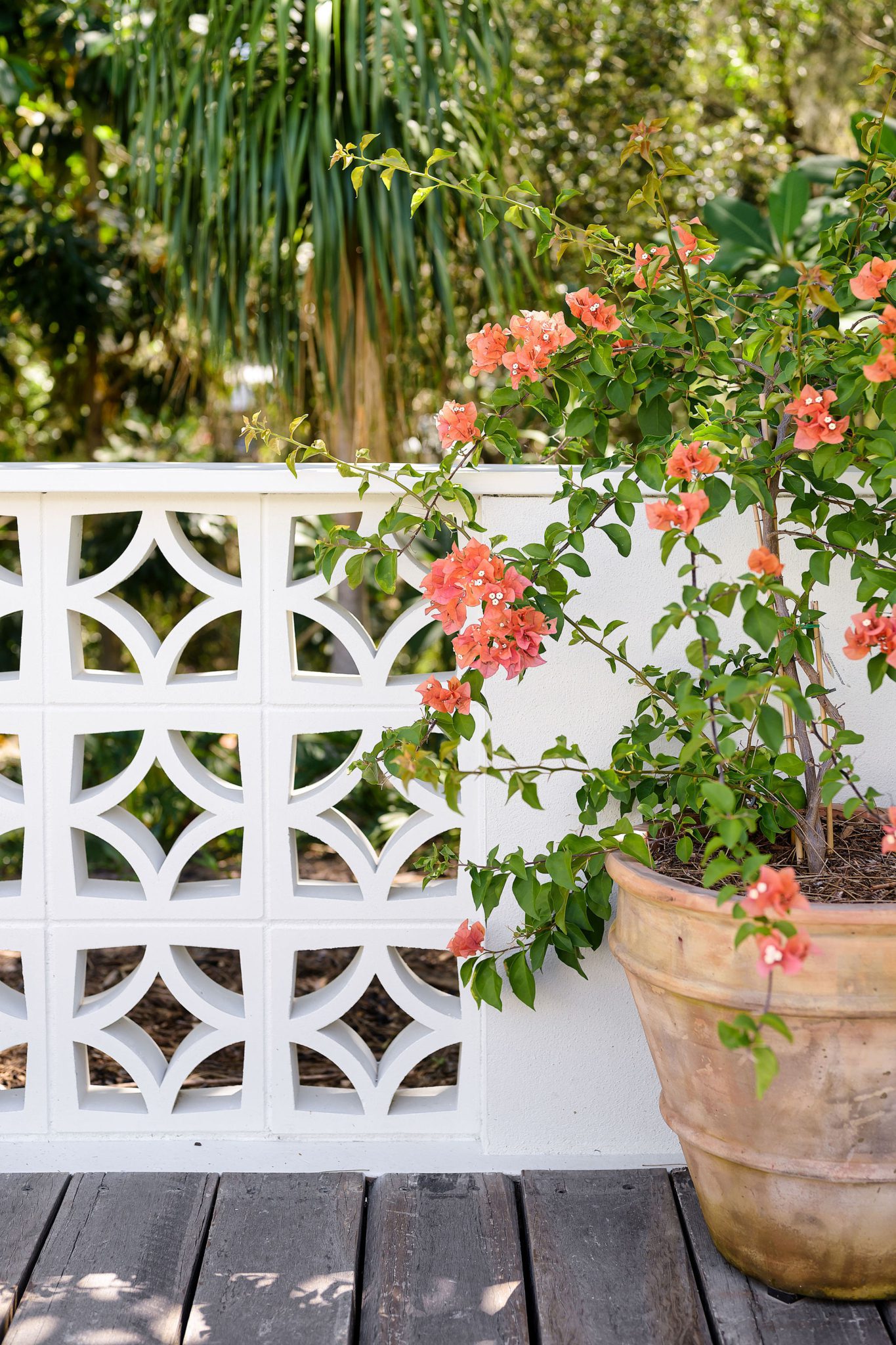 Coastal Poolside Deck with Pergola