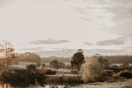 Brookhampton Road Farm