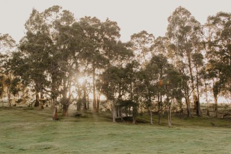 Brookhampton Road Farm