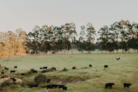 Brookhampton Road Farm