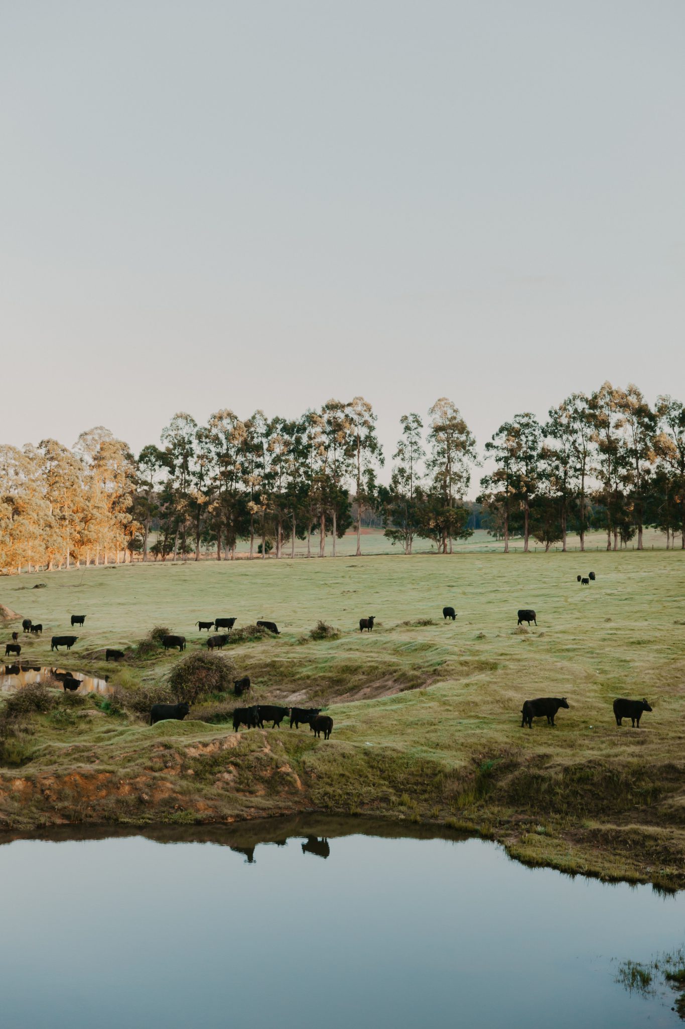 Brookhampton Road Farm