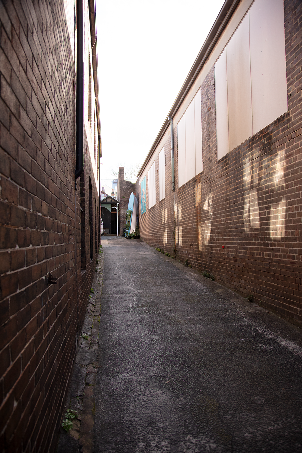 Massive Warehouse in Glebe