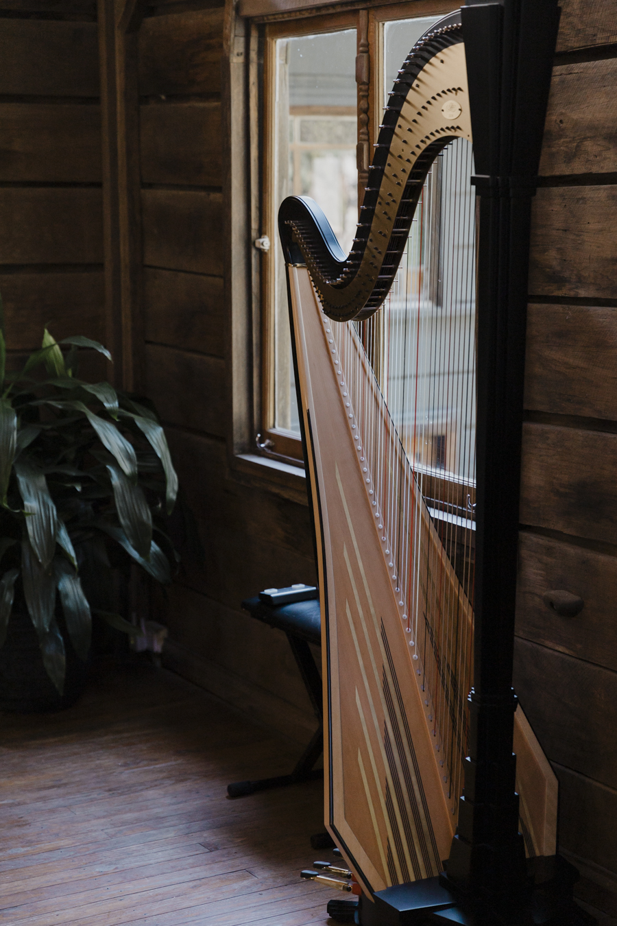 Fairytale Mountain Rainforest Venue