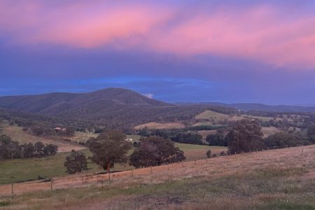 Heavenly Hills