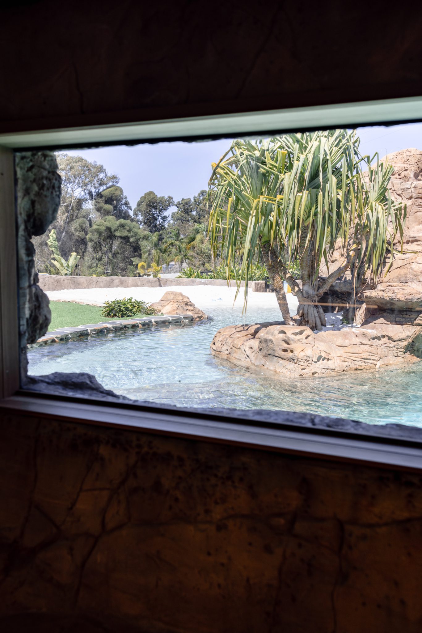 Rock cave sauna & gym space