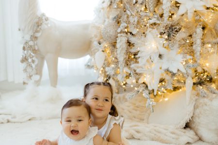 Luxe Christmas Living, with THE SEASONAL STYLING CO.