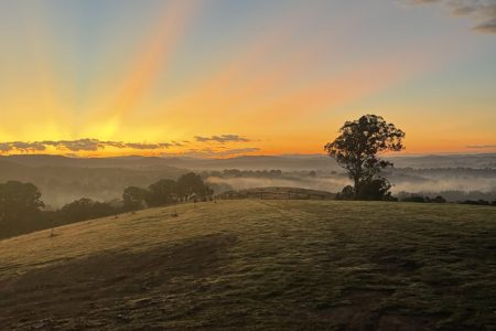 Heavenly Hills