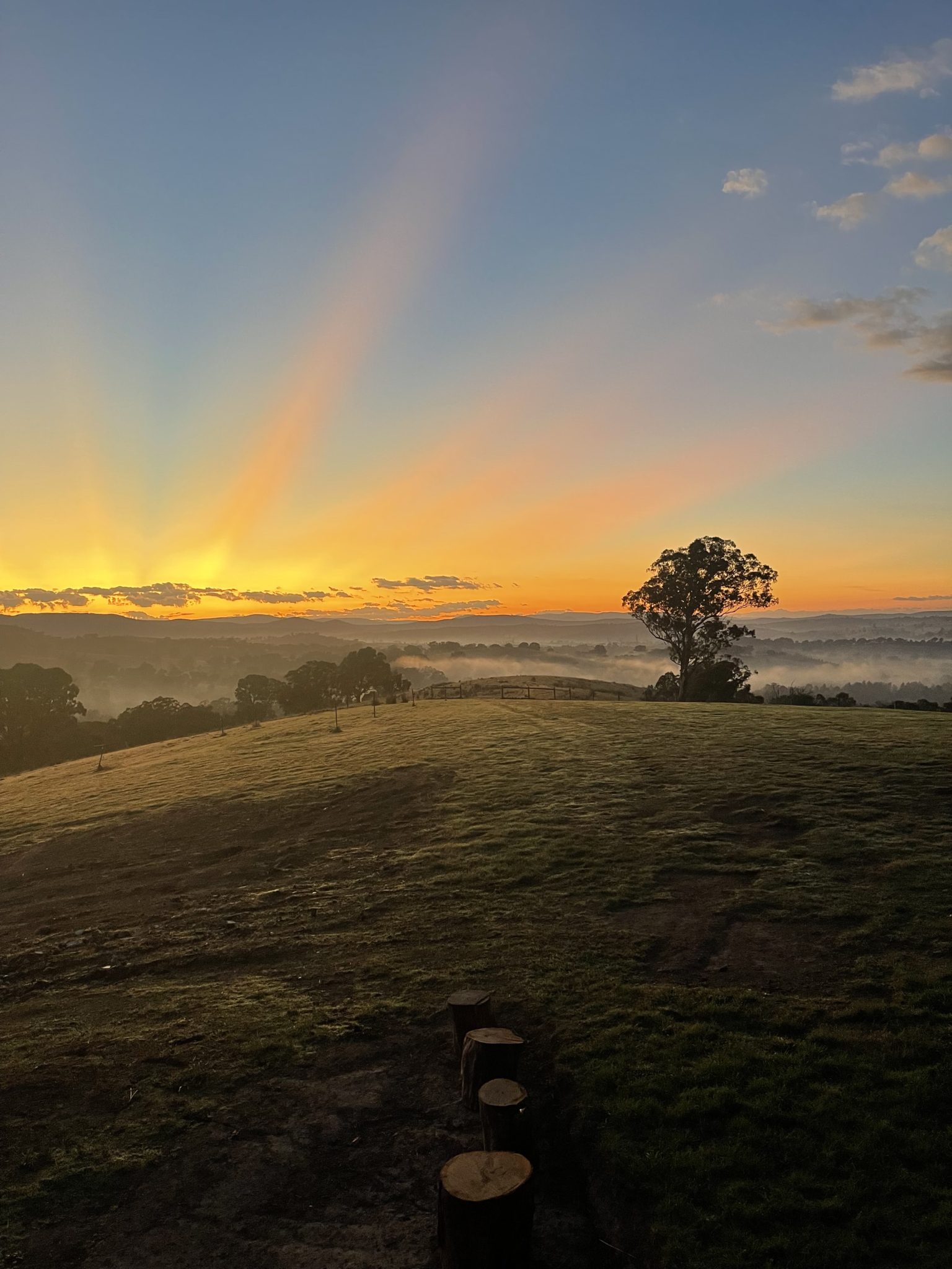 Heavenly Hills