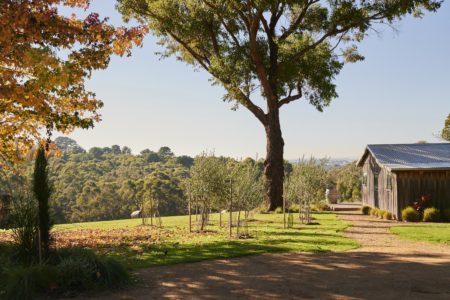 Three Playful Cabins in Red Hill