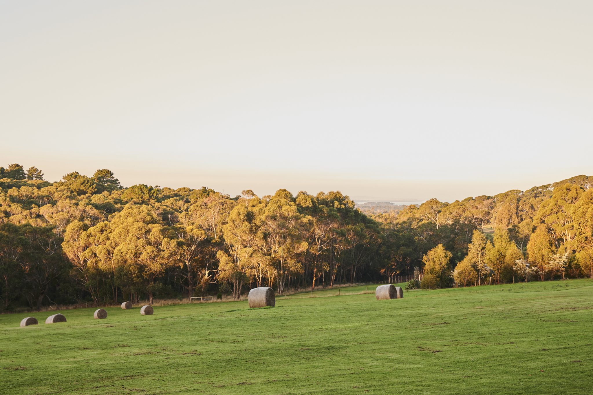 Three Playful Cabins in Red Hill