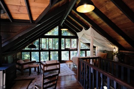 Mountain Rainforest Cabin