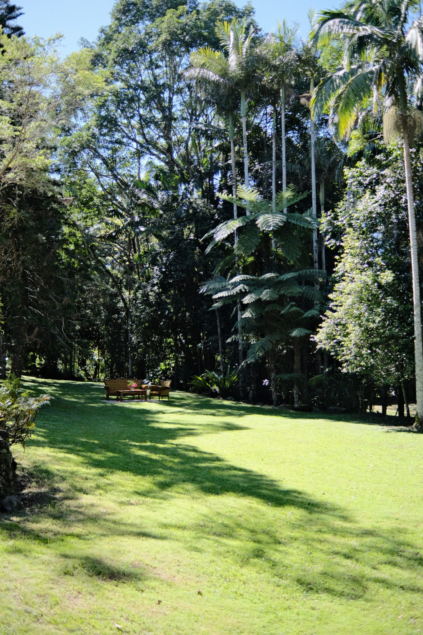 Mountain Rainforest Cabin