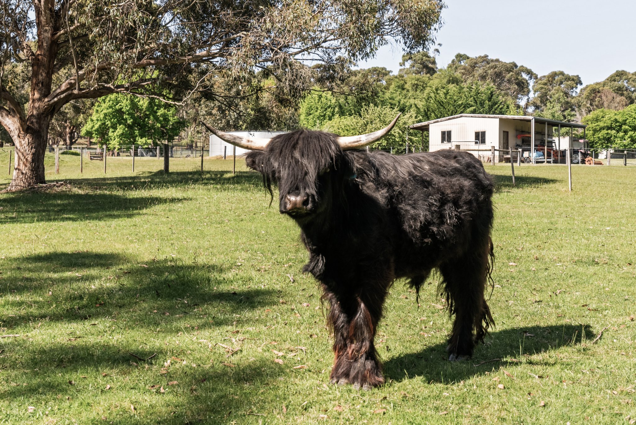 Modern Country Escape