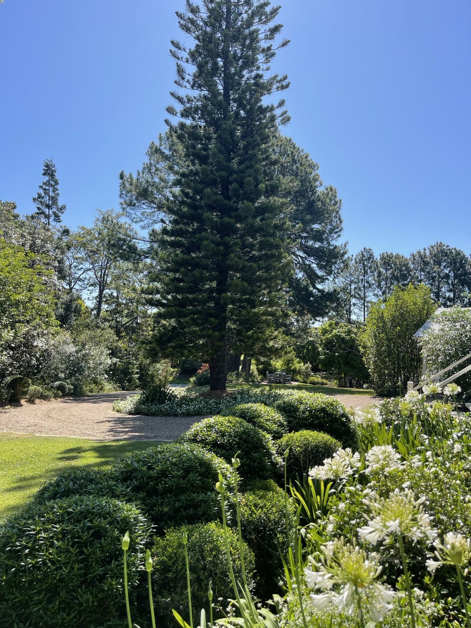 Hinterland Farm House