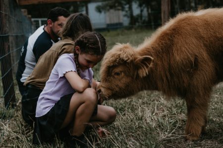 La Casita - Bush cottage with glass roof bath, private tropical gardens, and highland cows