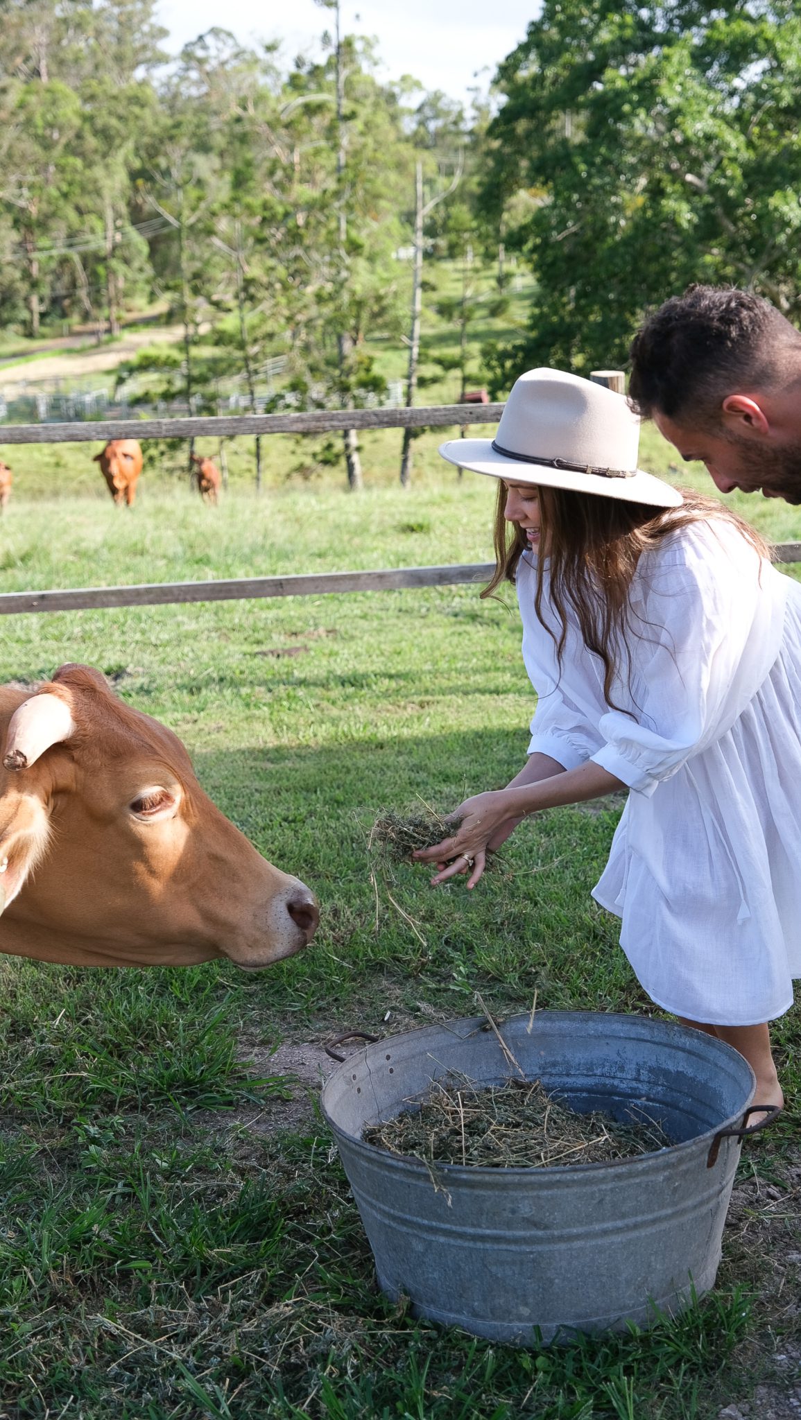 1800s Country Cabin on 120 acres in the Gold Coast Hinterland