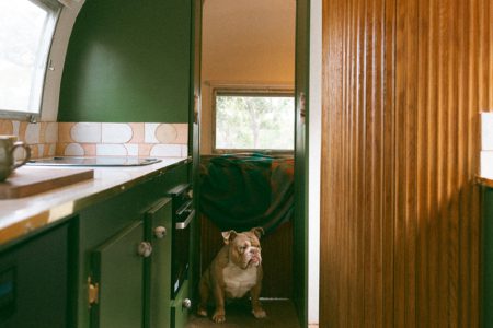 Midcentury Luxe American Airstream on Creekside Farm