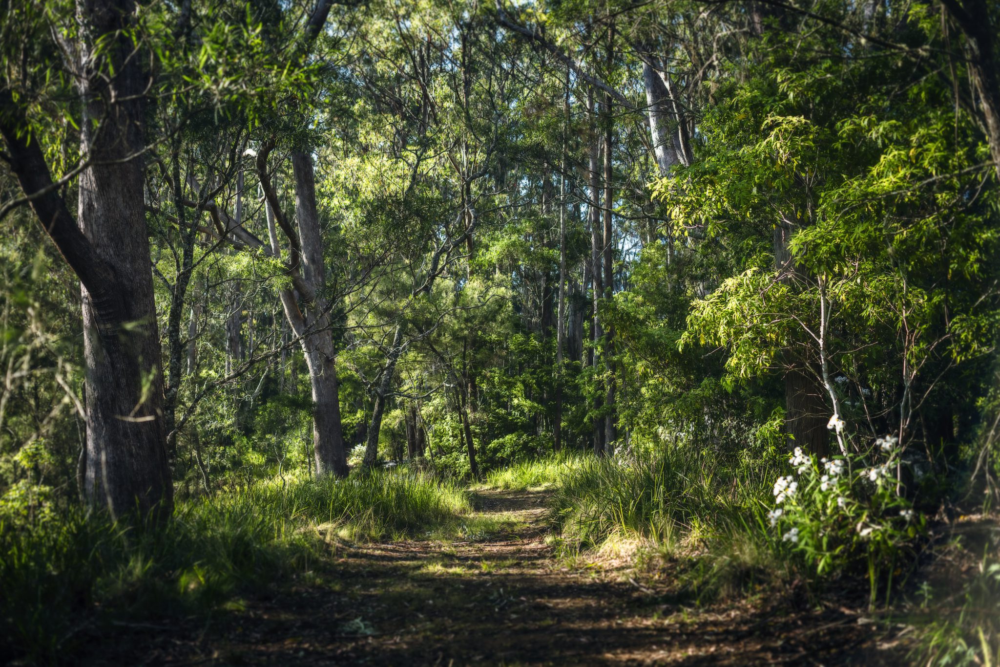 The Mount Christopherson Estate