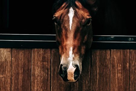 Hampton Style Horse Barn