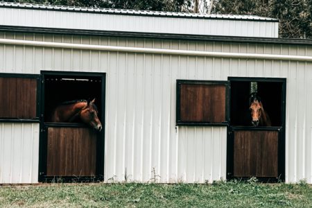 Hampton Style Horse Barn