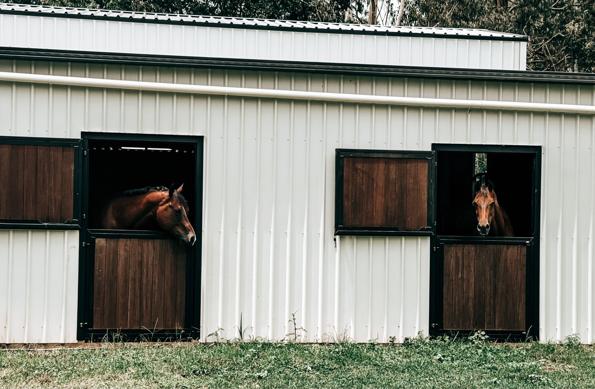 Hampton Style Horse Barn