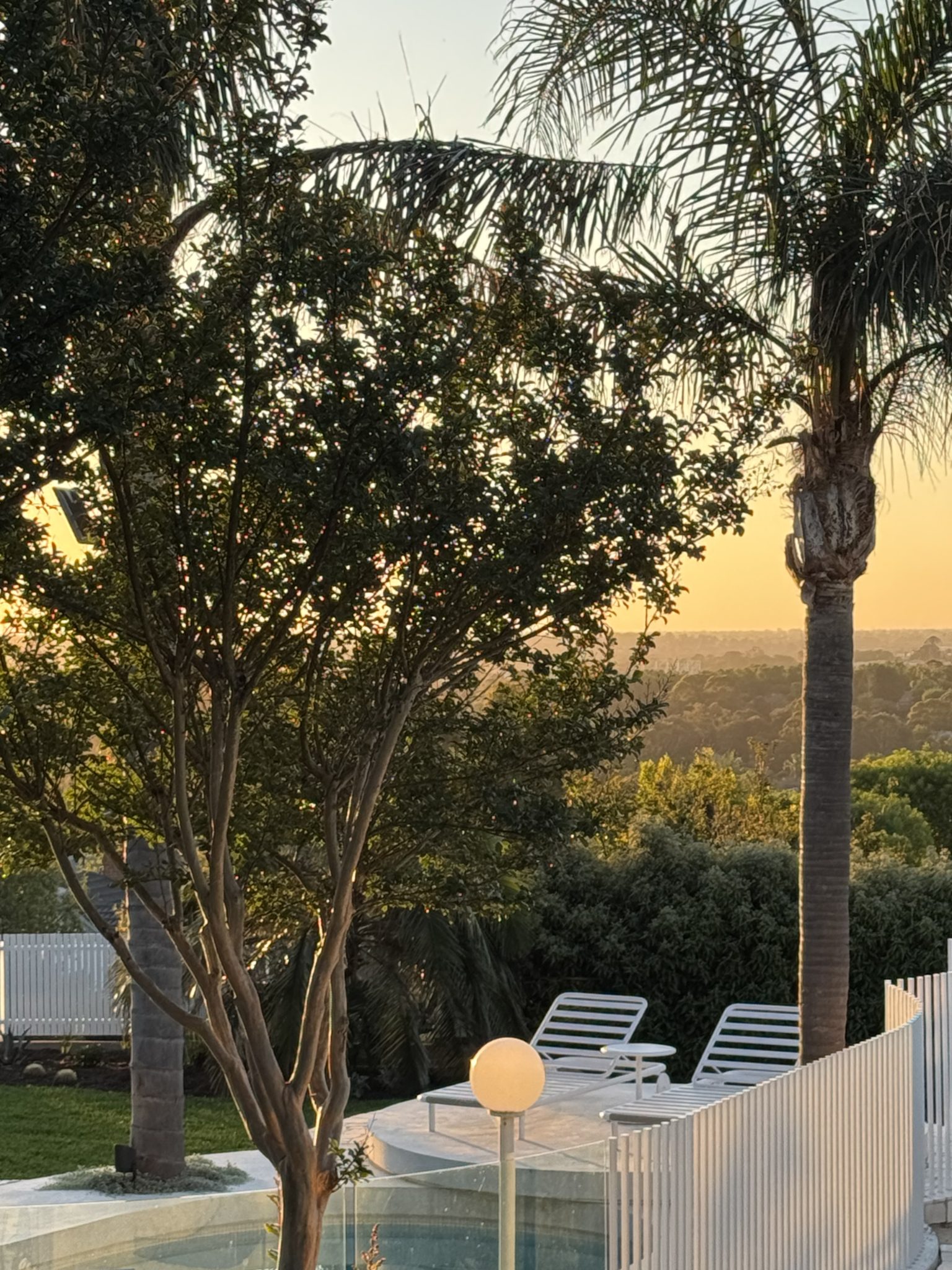 Mid Century Palm Springs Outdoor Oasis