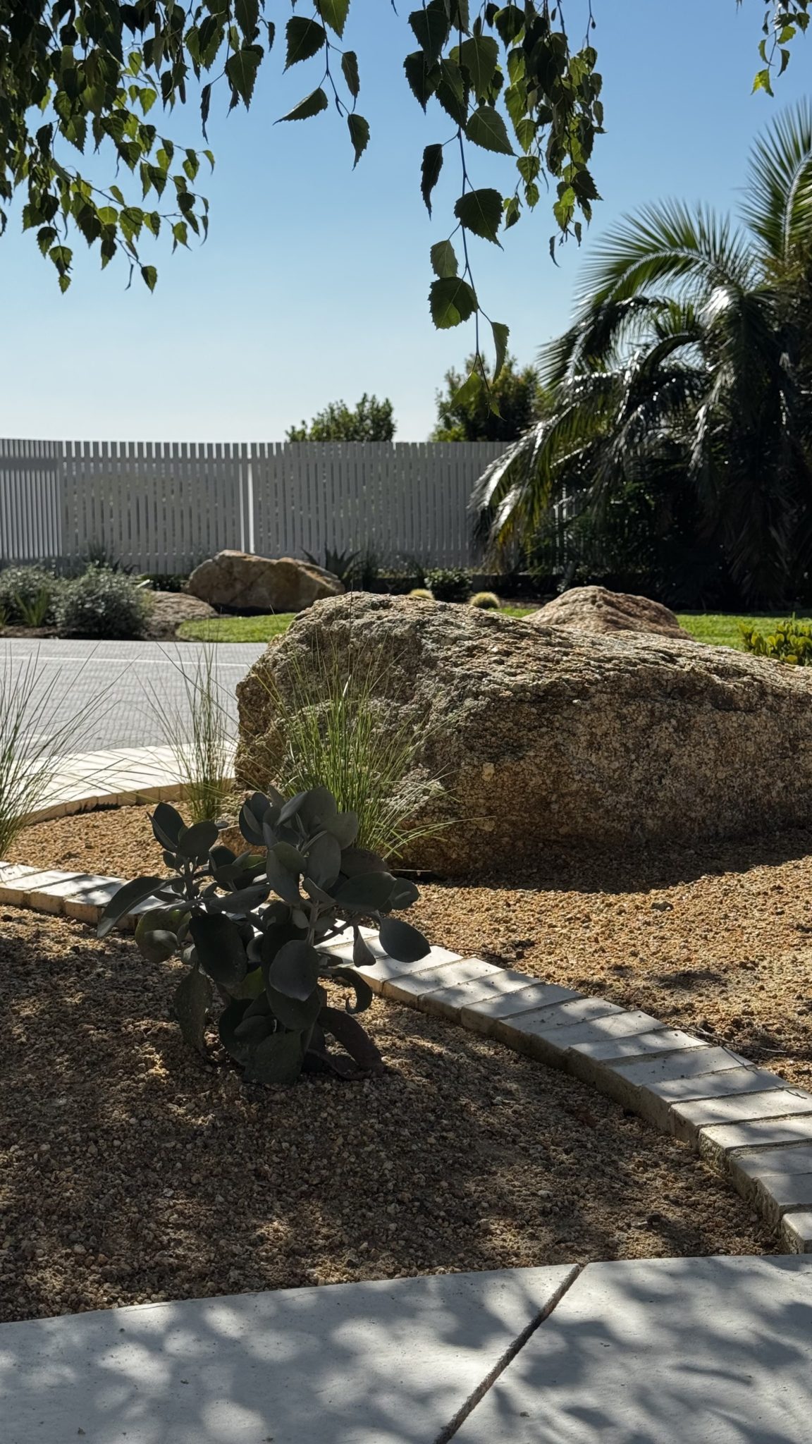 Mid Century Palm Springs Outdoor Oasis