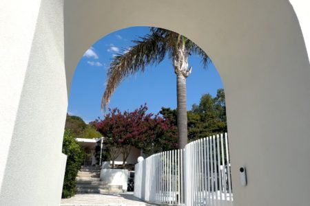 Mid Century Palm Springs Outdoor Oasis