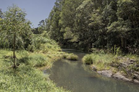 Rustic Farmhouse on the Gold Coast – Vintage, Country, Creekside Property