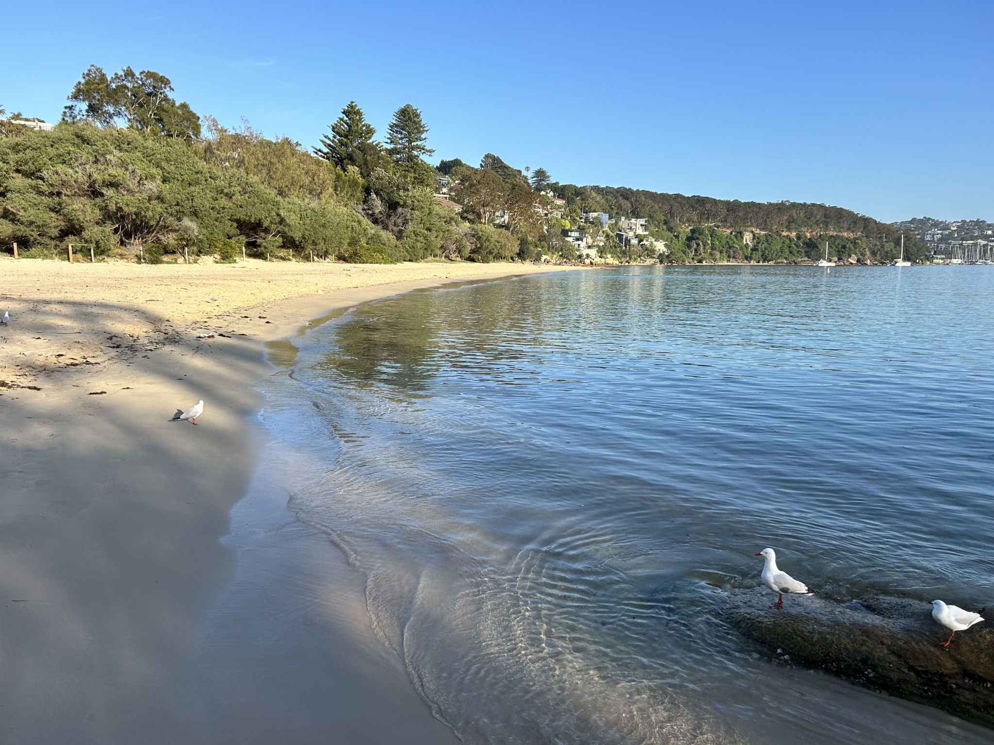 Luxury in Mosman