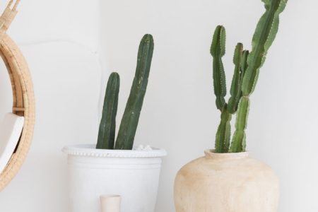 Studio Bohteak | Mediterranean x Coastal Content Studio | Carrum Downs, VIC