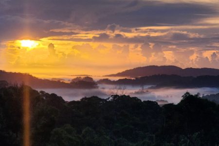Goodjinburra Forest | Rainforest & Oceanview Shoot Location | Tweed Valley, NSW