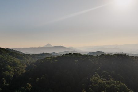 Goodjinburra Forest | Rainforest & Oceanview Shoot Location | Tweed Valley, NSW