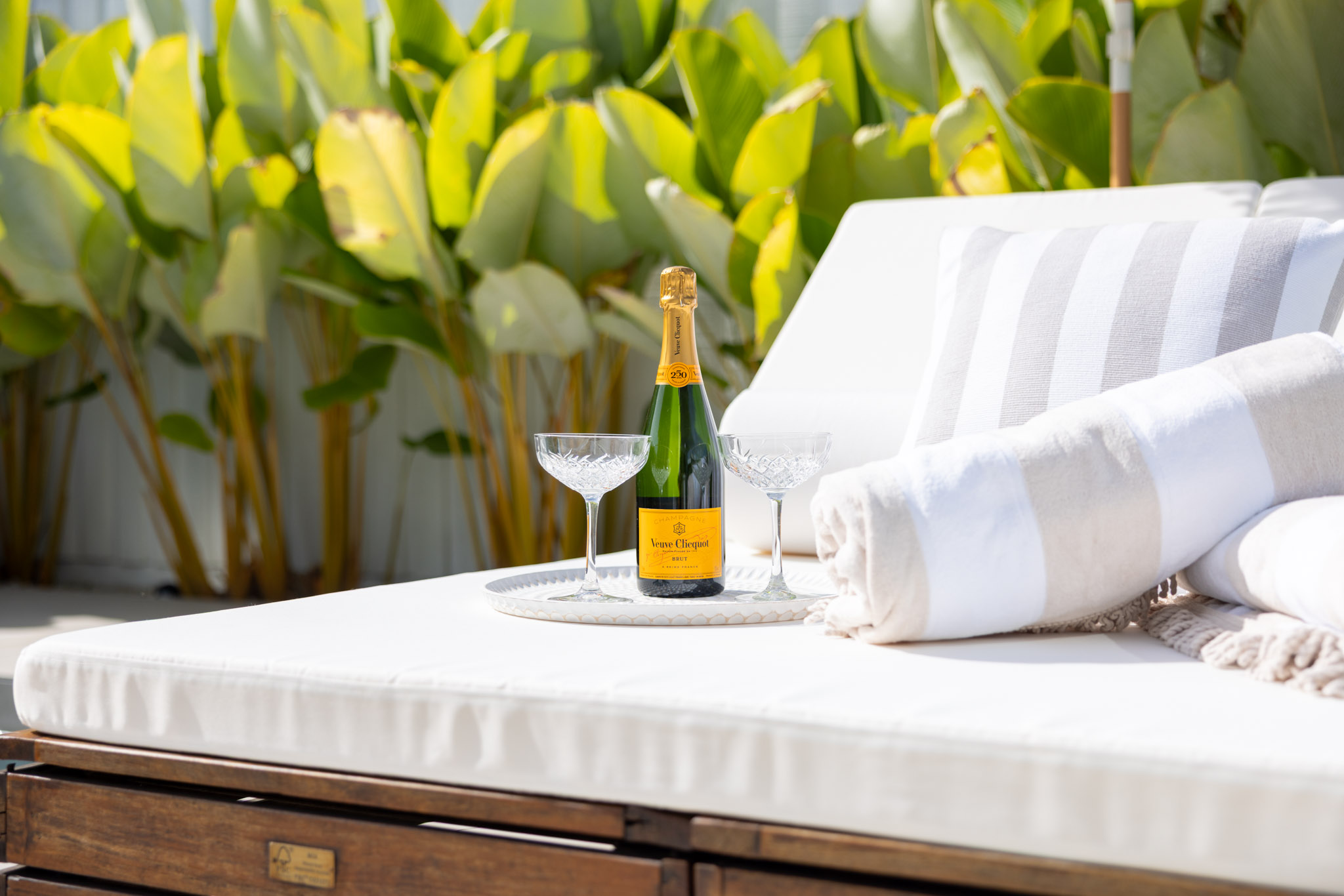 Park Avenue Palms | Modern Luxe Shoot Location | Sunshine Coast, QLD