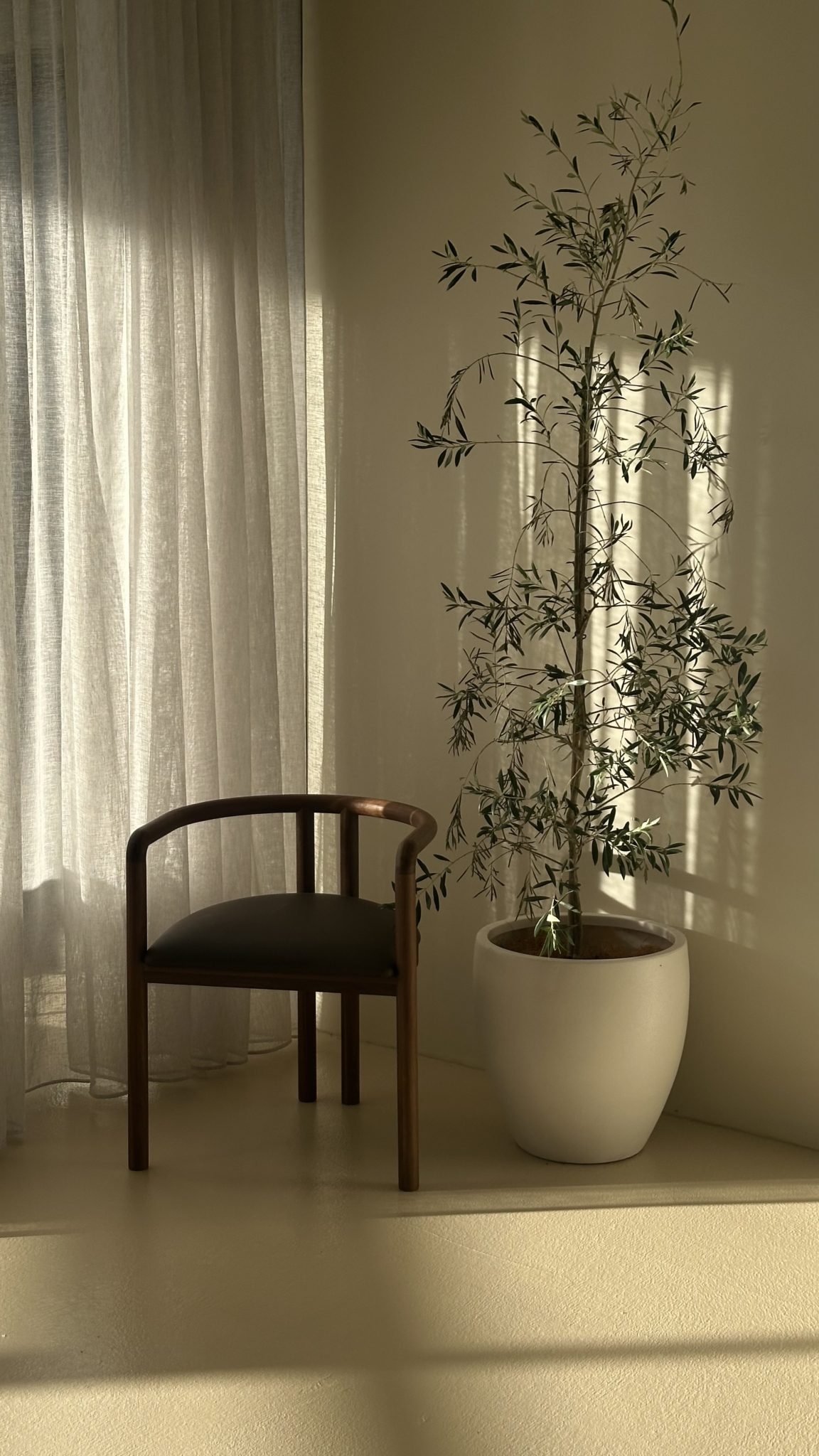 Base Studio Noosa | Minimal Luxe Content Studio | Noosa, QLD