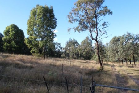 Burrundon | Rural Lakeside Photoshoot Location | Somerset, QLD