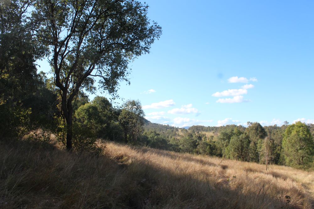 Burrundon | Rural Lakeside Photoshoot Location | Somerset, QLD