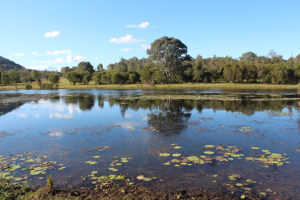 Burrundon | Rural Lakeside Photoshoot Location | Somerset, QLD